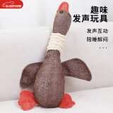 憨憨宠 狗玩具宠物狗狗玩具 发声磨牙耐咬幼犬小型犬用品金毛泰迪玩具 棕色大燕