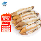 灵略 去壳去沙新鲜大号蛏子肉 花甲 花蛤 蛤蜊海鲜净重1.6斤生鲜 贝类
