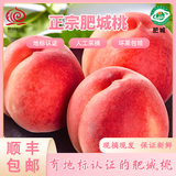 仙桃坞顺丰直发山东肥城当季正宗水蜜桃大毛桃佛桃软脆两吃酸甜双口爆汁 产地现摘水蜜桃4.5斤 新鲜中果12个【净重4.5斤】