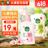 滴露洗手液滋润250g+绿茶250g 香氛儿童消毒洗手液抑菌99.99% 