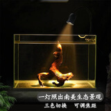 燕之雁鱼缸射灯 水陆雨林缸南美缸射灯LED水草灯 三色可调焦距7.2W