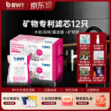 倍世镁离子滤芯离子置换技术过滤净水器家用滤水壶净水杯净水壶用 【超值】12只送2芯