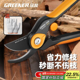 绿林（GREENER）园艺修枝剪家用花卉盆景造型专用剪刀省力果树剪花园林剪子调节款