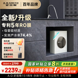 史密斯（A.O.SMITH）佳尼特净水器家用厨下直饮净水机净饮机反渗透 2.6升/分钟 大眼萌Pro 5年长效RO膜 国家补贴