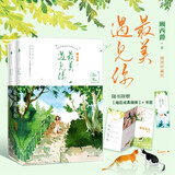 最美遇见你（插图珍藏版）