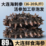 皇家麒麟 即食海参 即食大连刺参单个装辽刺参海参干货水产礼盒净含量500g 7A鲜食海参 16-20只/斤 一斤装