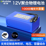 德力普（Delipow）12v锂电池组聚合物移动电源大容量带显示屏24V可充电户外音响/太阳能路灯/监控设备/防蜂服led灯等 12V10000mAh【送2A充电器】