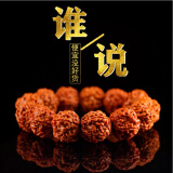 山中玉爆肉金刚菩提子手串男女士链藏式原籽大双龙纹文玩520送礼物 新人福利交友款【限购1条】