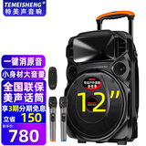 TEMEISHENG 特美声TC-105户外K歌音响重低音12吋大功率便携拉杆ktv音响专业ktv音响套装ktv音响家用广场操场 12吋重低音+双话筒+遥控器