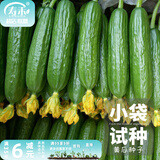 寿禾 旱黄瓜种子强雌籽种各种水果青瓜夏秋四季蔬菜寿光种籽 [小袋装]水果黄瓜种子10粒试种
