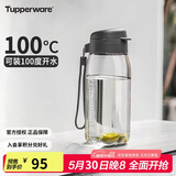 特百惠（Tupperware）乐趣550ML塑料杯夏季男女学生便携运动水杯子大容量双饮口 都市灰