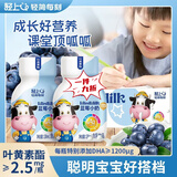 儿童牛奶3-15岁增强免疫力补钙铁锌DHA蓝莓小奶含钙优质奶源0蔗糖 【叶黄素酯+DHA+钙铁锌】 【138·mL蓝莓小奶】*10瓶