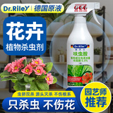 DR.RILEY德国原液花卉杀虫剂植物蚜虫呋虫胺喷雾土壤绿植月季花草红黑蜘蛛
