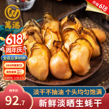 万港生蚝干淡晒海蛎子牡蛎干海鲜干货北海特产煲汤煮粥主料火锅食材 特大号生蚝干500g(约100粒)