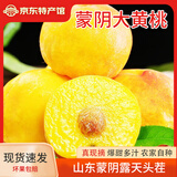 御山人现货正宗蒙阴黄桃 山东蜜桃子当季新鲜黄桃现摘孕妇水果送礼新鲜 黄油桃 精选净重3斤装 9-12个