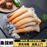 【京东冷链】象拔蚌肉蚌头象鼻蚌速冻新鲜刺身日料野生贝类海鲜水 象拔蚌 6斤(净重)