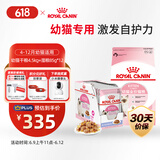 皇家皇家幼猫 干湿搭配   K36 4.5KG+ KJP 85G*12