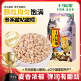 十月稻田 小麦仁 2斤（麦仁 东北 五谷 杂粮 粗粮 真空装 大米 粥米伴侣）