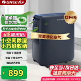 格力（GREE）【轻音小体积 空气净化】除湿机/抽湿机家用卧室客厅除湿器升级负离子净化适用面积24平DH12ENA1A