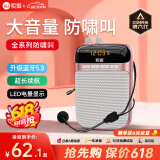 索爱（soaiy）S318小蜜蜂扩音器教师专用U盘TF卡麦克风喇叭防啸叫导游蓝牙音箱户外教学讲课  TYPE-C金
