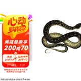 基于Python的DevOps图书书香节