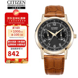 西铁城（CITIZEN）光动能皮带时尚休闲生活防水商务男表AO9003-08E