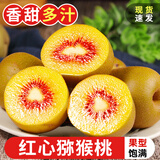 探味君 四川红心猕猴桃 应当季新鲜现摘奇异果时令孕妇水果礼盒 整箱 【中大果】12枚 单果90~110g