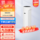 神牛（Godox） LC500Mini补光灯棒灯补光棒手持摄影灯户外便携直播拍照 人像美颜灯双色温版 可拆卸电池BG01手柄【白色】 标配