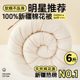 多忆绵眠（duoyimianmian）新疆长绒棉被芯全棉花被子手工棉絮棉胎褥子床垫加厚保暖冬被单人 新疆长绒棉被6斤 200*220cm