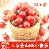 京鲜生＆陇小番 釜山88玲珑小番茄净重2斤(500g*2盒) 源头直发