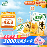 伊利优酸乳如意杏子味250ml*24盒 酸甜牛奶饮品 礼盒装