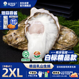 贝司令（BEISILING）【鲜活】乳山生态生蚝牡蛎贝类烧烤源头直发2XL净重4斤 海鲜水产