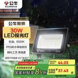 公牛（BULL）LED投光灯户外庭院工厂园林灯露营灯 IP65防水等级30W-6500K白光