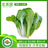 北菜园有机小白菜250g火锅食材有机新鲜蔬菜  【两个品种随机发送】生鲜