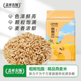 盖亚农场燕麦米2.5斤 东北五谷杂粮粗粮麦仁粥米饭伴侣