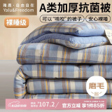 雅鹿·自由自在A类被子抗菌春秋纤维被芯单双人6斤200x230cm 简兮蓝