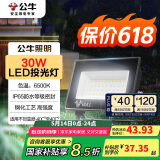 公牛（BULL）LED投光灯户外庭院工厂园林灯露营灯 IP65防水等级30W-6500K白光