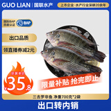 GUO LIAN国联水产 三去罗非鱼4条/2.8斤净重 鲷鱼 海鲜鱼类 源头直发