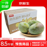 京鲜生 攀枝花凯特芒果 净重8.5斤 单果400g+ 生鲜水果源头直发