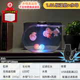 依华莱斯迷你桌面专用水母缸小丑鱼赤月海月大西洋家用小型发光观赏水母瓶 恒温套餐 套餐组合