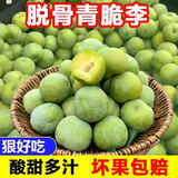 栗品优四川青脆脱骨李当季新鲜李子脆酸甜味现摘水果 5斤（单果15-25g）大果
