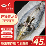 知吃甄选开背鲟鱼500g冷冻生鲜美味鱼类淡水鱼无刺鱼肉开袋即烹免杀免洗