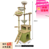 珑小宠猫爬架猫窝加粗大型猫树一体太空舱猫架子小户型不占地麻绳猫玩具 200cm 8层 【升级多猫款】