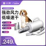 小红栗吹水机宠物吹风机狗狗吹水机吹毛吹干神器低噪大功率大型犬Mini白