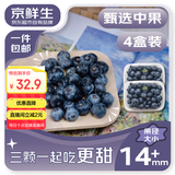 京鲜生 国产蓝莓 4盒 14mm+装125g/盒 生鲜水果 源头直发 包邮