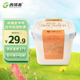 西域春 新疆奶皮子低温酸奶 1000g*1桶装 生牛乳发酵 益生菌酸牛奶