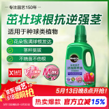美乐棵种球营养液郁金香风信子马蹄莲植物花肥肥料浓缩植物营养液500ML
