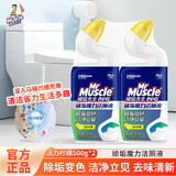 威猛先生强效洁厕液活力柠檬 冲厕所清洗剂马桶清除垢小便池去污清洁尿垢 【活力柠檬】 500g 2瓶 威猛先生