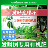 绿盼绿植发财树有机肥料颗粒专用叶子发黄掉叶招财树客厅办公室盆栽
