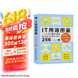 IT用语图鉴it用语AI时代需要了解的信息技术相关词汇256  chatgpt聊天机器人人工智能时代it计算机科普图书 一本书了解AI时代常用的IT术语（双色版） deepseek教程京东超级618